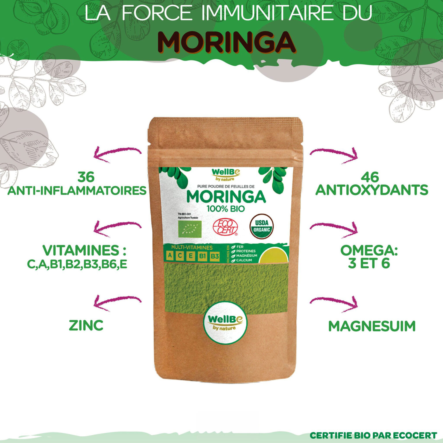 Poudre de Moringa 100% Bio
